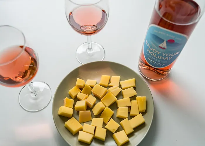 Balatonic Grape Apartmanhaz * 시오포크